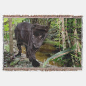 Belize City Zoo. Zwarte panter Deken (Voorkant)