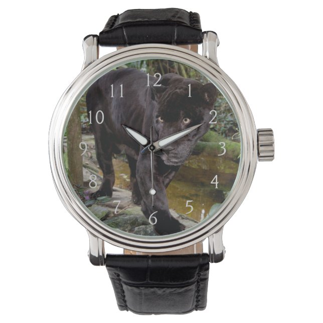Belize City Zoo. Zwarte panter Horloge (Voorkant)