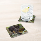 Belize City Zoo. Zwarte panter Kartonnen Onderzetters (Insitu)