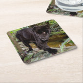 Belize City Zoo. Zwarte panter Kartonnen Onderzetters (Schuin)