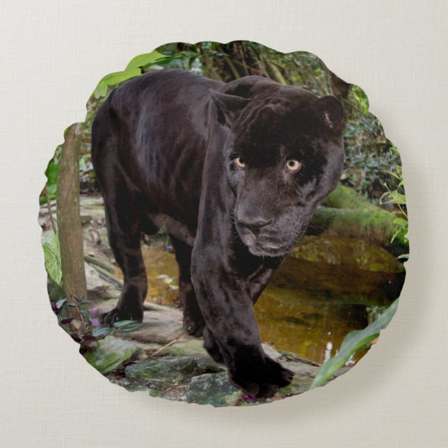 Belize City Zoo. Zwarte panter Rond Kussen (Voorkant)