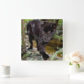 Belize City Zoo. Zwarte panter Vierkante Klok (Huis)