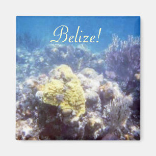 Belize! Coral Reef Magnet