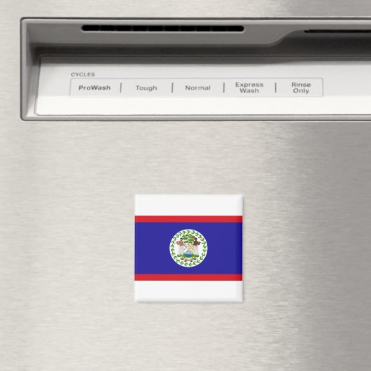 Belize Flag Magneet (Insitu (Vaatwasser))