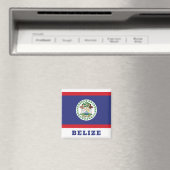 Belize Flag Magneet (Insitu (Vaatwasser))