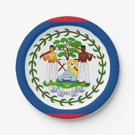 Belize Flag Papieren Bordje (Voorkant)