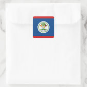 Belize Flag Sticker (Tas)