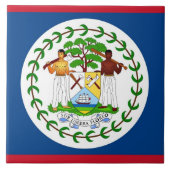 Belize Flag Tegel Tegeltje (Voorkant)