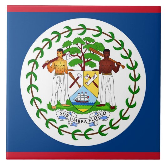 Belize Flag Tegel Tegeltje (Voorkant)