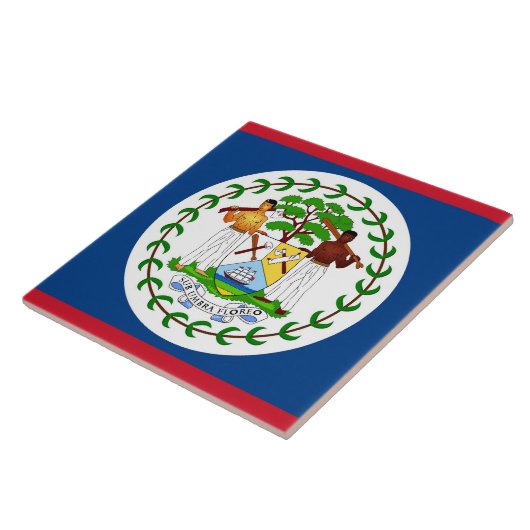 Belize Flag Tegel Tegeltje (Zijkant)