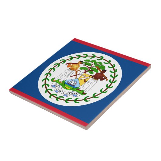 Belize Flag Tegeltje (Zijkant)