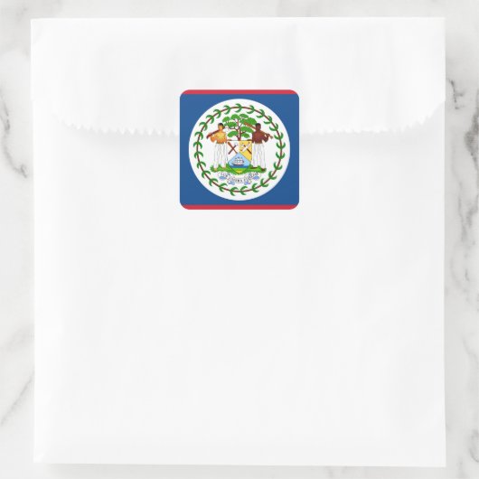 Belize Flag Vierkante Sticker (Tas)