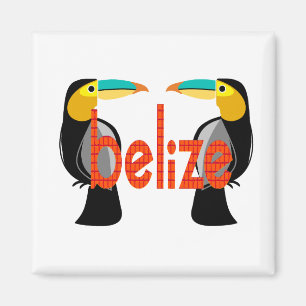 Belize het nu magneet