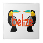 Belize het nu tegeltje (Voorkant)