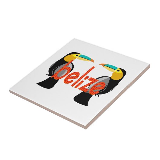 Belize het nu tegeltje (Zijkant)