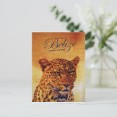 Belize Jaguar Briefkaart (Staand voorkant)