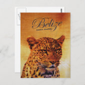 Belize Jaguar Briefkaart (Voorkant / Achterkant)
