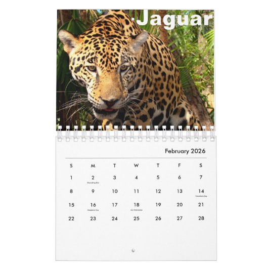 Belize Kalender (Feb 2026)