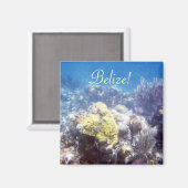 Belize! koraalrifmagneet magneet (Voorkant / Achterkant)