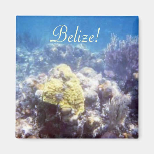 Belize! koraalrifmagneet magneet (Voorkant)