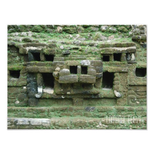 Belize Lamanai Mayan Ruins Jaguar Mask Travel Foto Afdruk (Voorkant)