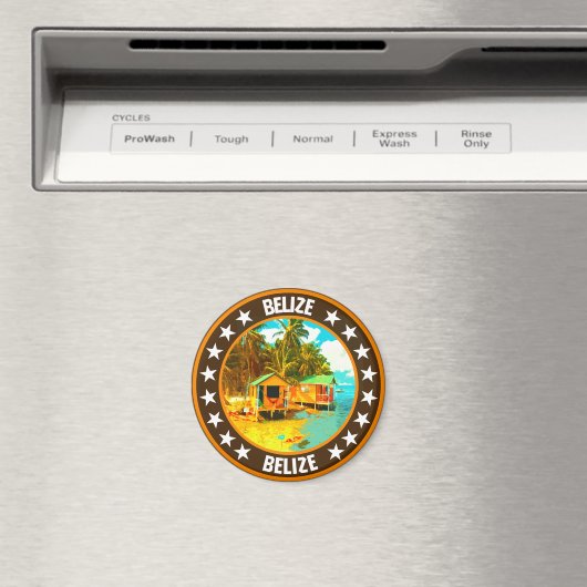 Belize Magneet (Insitu (Vaatwasser))