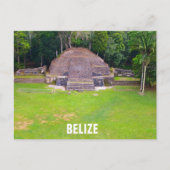 Belize Mayan Ruins Caracol Travel Photo Briefkaart (Voorkant)