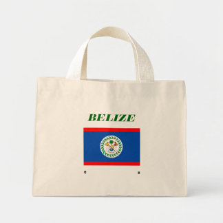 BELIZE MINI TOTE BAG