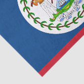 Belize mode decor, Belize Vlag tissuepapier (Detail)