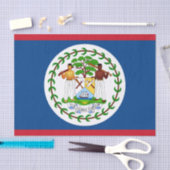 Belize mode decor, Belize Vlag tissuepapier (Craft)