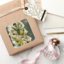 Belize Olive Euphonia Bird Photography Vierkante Sticker