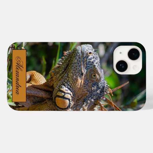 Belize Oranje Iguana Lizard Photography Case-Mate iPhone Case (Achterkant (horizontaal))