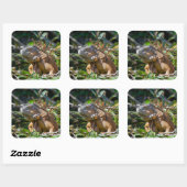 Belize Oranje Iguana Lizard Photography Vierkante Sticker (Vel)