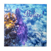 Belize! Paars Zee Fan Tile Tegeltje (Voorkant)