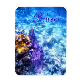 Belize! Paarse Zeeen Fan Premium Magnet Magneet