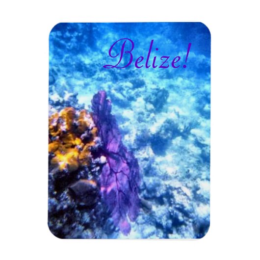 Belize! Paarse Zeeen Fan Premium Magnet Magneet (Verticaal)