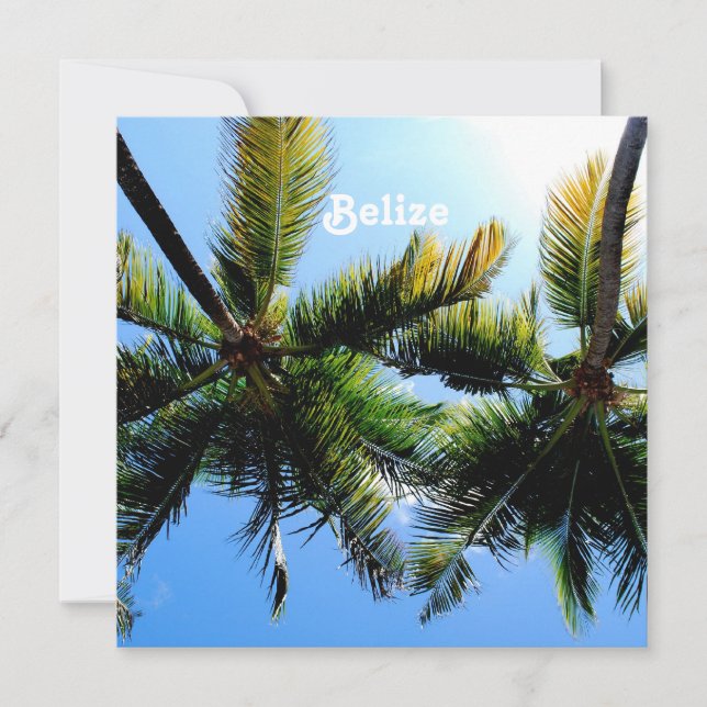 Belize Palm Trees (Voorkant)