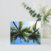 Belize Palm Trees Briefkaart (Staand voorkant)