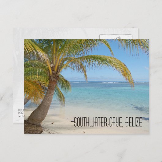 Belize Palm Trees en Caraïbisch Zee Landschap Briefkaart (Voorkant / Achterkant)