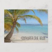 Belize Palm Trees en Caraïbisch Zee Landschap Briefkaart (Voorkant)