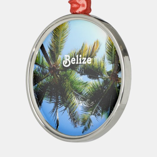 Belize Palm Trees Metalen Ornament (Links)