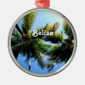 Belize Palm Trees Metalen Ornament (Voorkant)