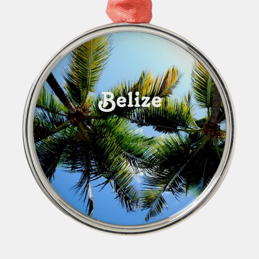 Belize Palm Trees Metalen Ornament (Voorkant)