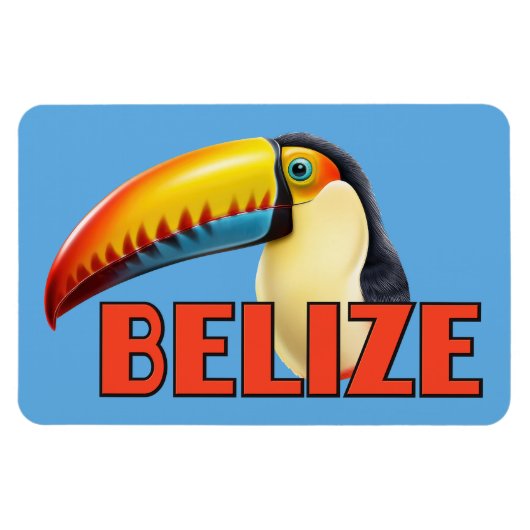 BELIZE Toucan Magneet (Horizontaal)