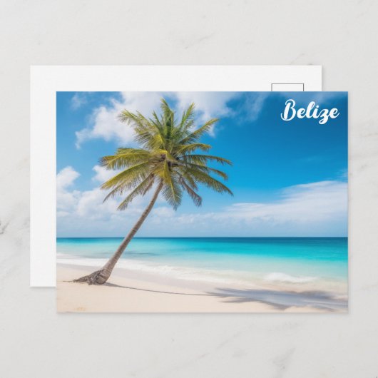 Belize Tropical Beach Palm Tree Ambergris Caye Briefkaart (Voorkant / Achterkant)