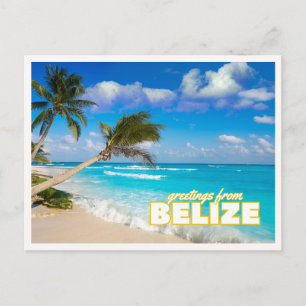 Belize Tropisch Strand Palmbomen Retro Vintage Gro Briefkaart