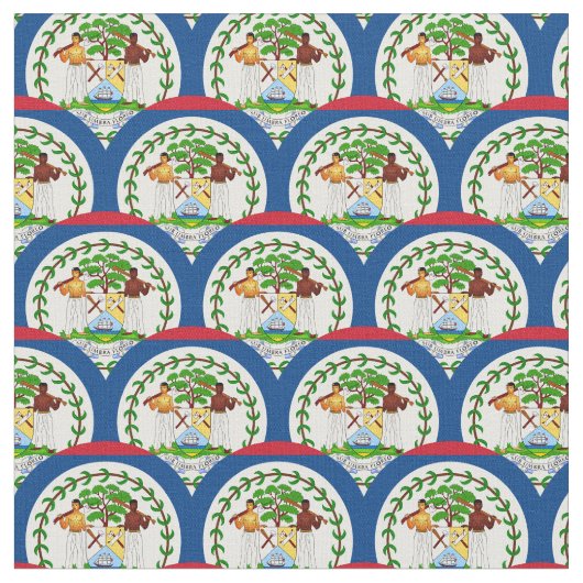 Belize vlag & Belize Trendy Fabric/mode Stof (Close Up)