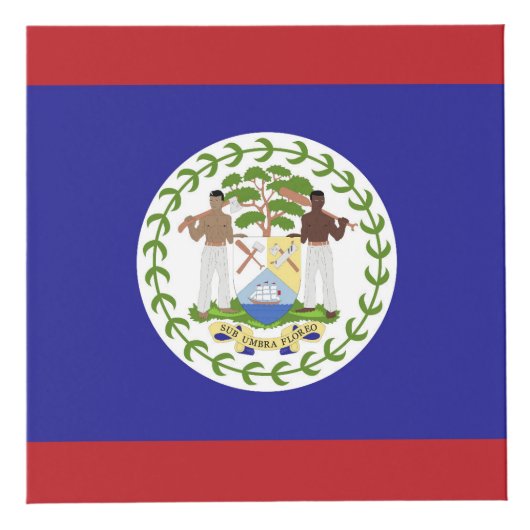Belize vlag kubus (Rechts)