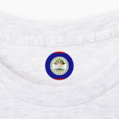 Belize vlag labels (Aangebracht)