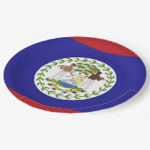 Belize vlag papieren bordje (Gekanteld)